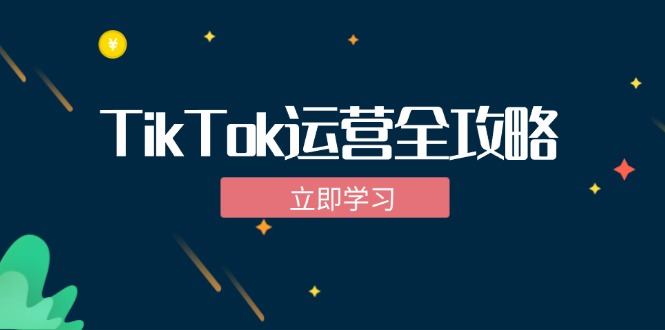 (12739期)TikTok实战运营全攻略:从下载软件到,抖音海外版实操教程_免费分享网络创业,副业,信息差项目的老牌资源整合平台!金铲子项目