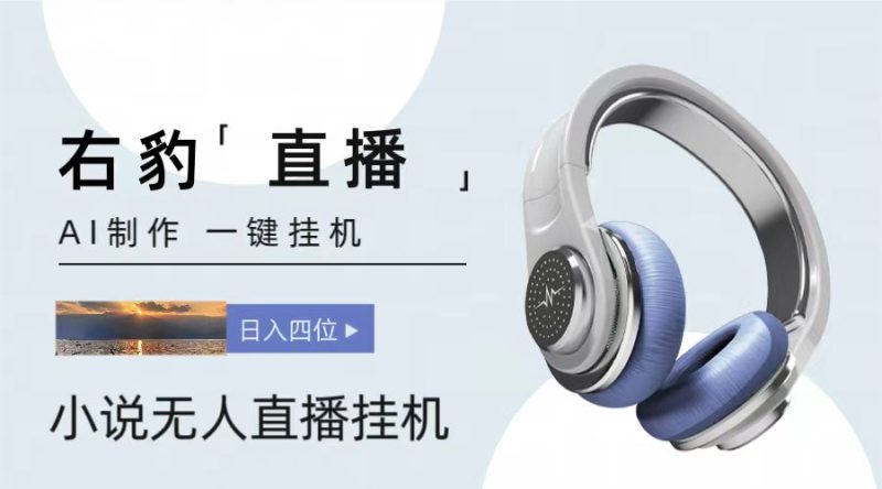 右豹小说无人直播挂机吸金项目，简单易行稳定，_免费分享网络创业,副业,信息差项目的老牌资源整合平台！金铲子项目