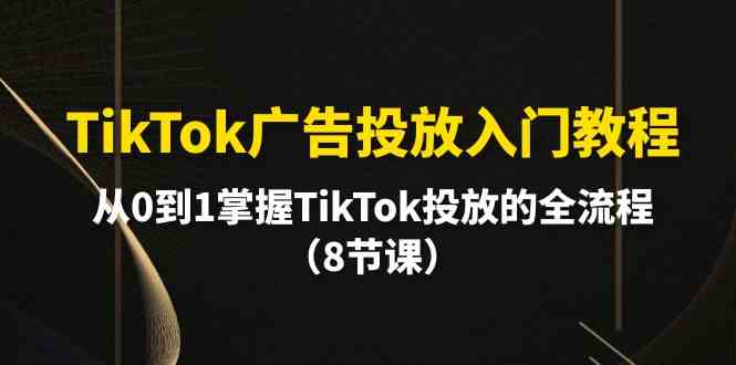 TikTok广告投放入门教程,从0到1掌握TikTok投放的全流程(8节课)_免费分享网络创业,副业,信息差项目的老牌资源整合平台!金铲子项目