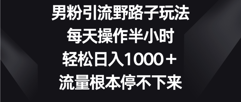 男粉引流野路子玩法，每天操作半小时，流量根本停不下来_免费分享网络创业,副业,信息差项目的老牌资源整合平台！金铲子项目