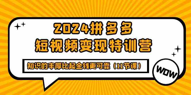 2024拼多多短视频特训营,知识的丰厚比起金钱更可靠(11节课)_免费分享网络创业,副业,信息差项目的老牌资源整合平台!金铲子项目