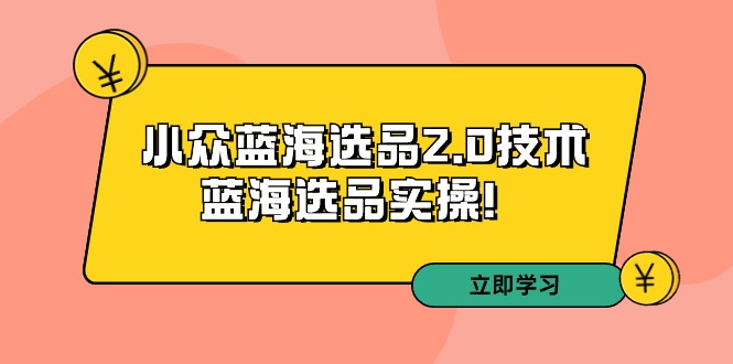 拼多多培训第33期:小众蓝海选品2.0技术-蓝海选品实操_免费分享网络创业,副业,信息差项目的老牌资源整合平台!金铲子项目