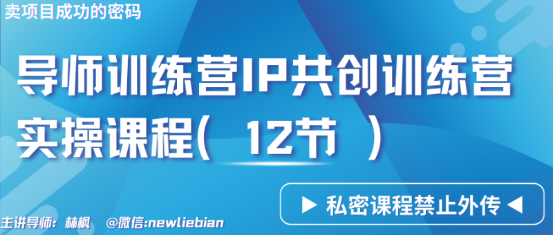 导师训练营3.0IP共创训练营私密实操课程（12节）-卖项目的密码成功秘诀_免费分享网络创业,副业,信息差项目的老牌资源整合平台！金铲子项目