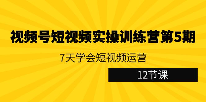 视频号短视频实操训练营第5期:7天学会短视频运营(12节课)_免费分享网络创业,副业,信息差项目的老牌资源整合平台!金铲子项目