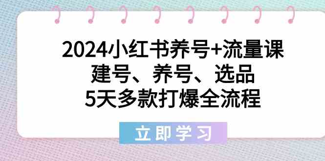 2024小红书养号流量课:建号、养号、选品,5天多款打爆全流程_免费分享网络创业,副业,信息差项目的老牌资源整合平台!金铲子项目