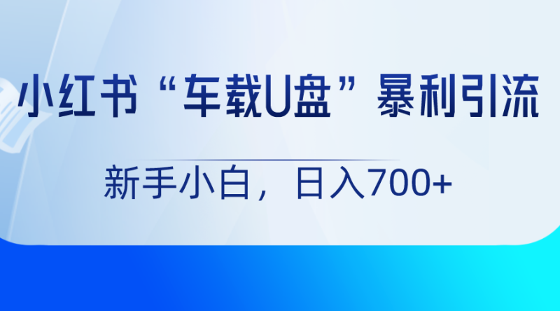 小红书“车载U盘”项目，暴利引流，新手小白_免费分享网络创业,副业,信息差项目的老牌资源整合平台！金铲子项目