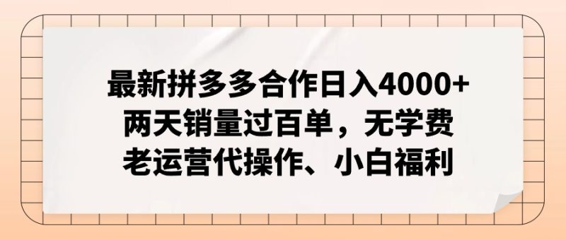 (11343期)最新拼多多合作0两天销量过百单,无学费、老运营代操作、小白福利_免费分享网络创业,副业,信息差项目的老牌资源整合平台!金铲子项目