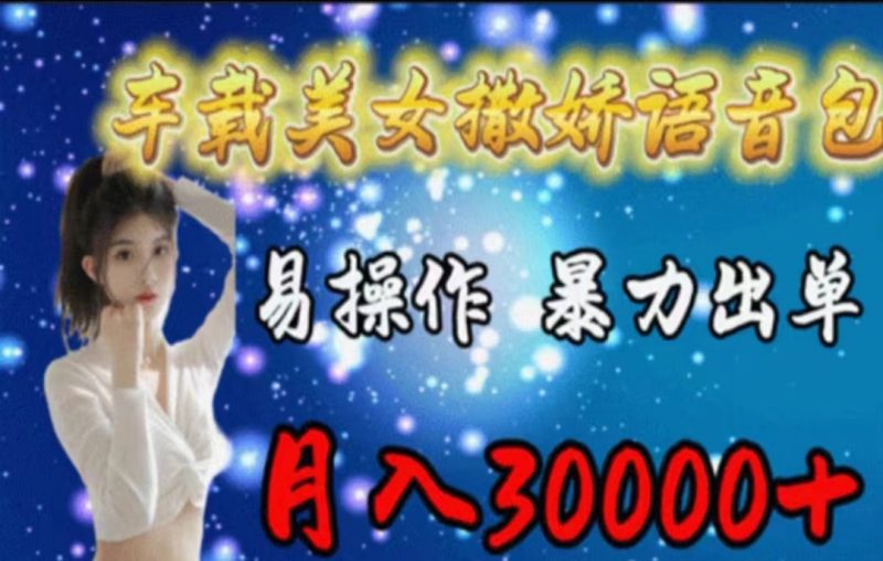 （11249期）车载美女撒娇语音包，执行就出单小白看完课程就能马上实操_免费分享网络创业,副业,信息差项目的老牌资源整合平台！金铲子项目