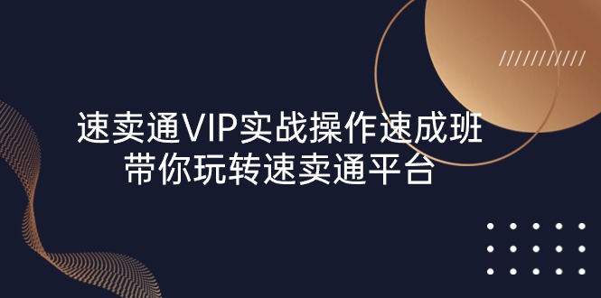 (10935期)速卖通VIP实战操作-速成班,带你玩转速卖通平台(23节)_免费分享网络创业,副业,信息差项目的老牌资源整合平台!金铲子项目