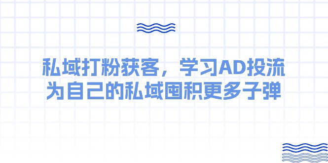 （10728期）某收费课：私域打粉获客，学习AD投流，为自己的私域囤积更多子弹_免费分享网络创业,副业,信息差项目的老牌资源整合平台！金铲子项目