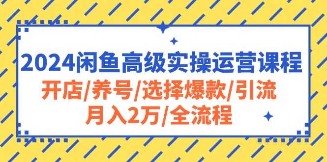 (10711期)2024闲鱼高级实操运营课程:开店/养号/选择爆款/引流/2万/全流程_免费分享网络创业,副业,信息差项目的老牌资源整合平台!金铲子项目