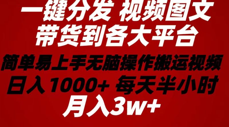 (10667期)2024年一键分发带货图文视频简单易上手无脑赚每天半小时1…_免费分享网络创业,副业,信息差项目的老牌资源整合平台!金铲子项目