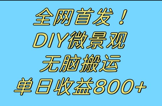 全网首发冷门赛道DIY微景观，无脑搬运视频，_免费分享网络创业,副业,信息差项目的老牌资源整合平台！金铲子项目