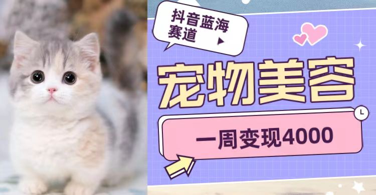 抖音蓝海赛道,宠物美容,一周4000_免费分享网络创业,副业,信息差项目的老牌资源整合平台!金铲子项目