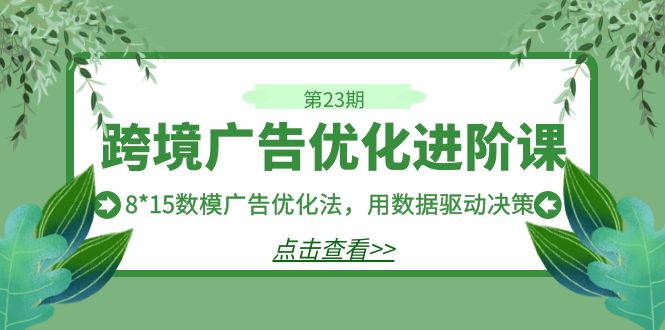 跨境广告·优化进阶课·第23期，8*15数模广告优化法，用数据驱动决策_免费分享网络创业,副业,信息差项目的老牌资源整合平台！金铲子项目