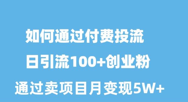 （10189期）如何通过付费投流日引流创业粉月_免费分享网络创业,副业,信息差项目的老牌资源整合平台！金铲子项目