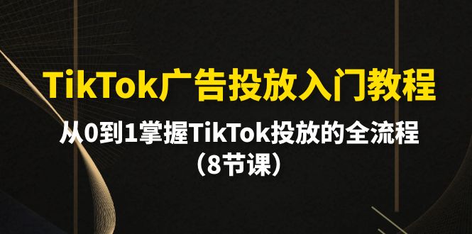 (10085期)TikTok广告投放入门教程,从0到1掌握TikTok投放的全流程(8节课)_免费分享网络创业,副业,信息差项目的老牌资源整合平台!金铲子项目