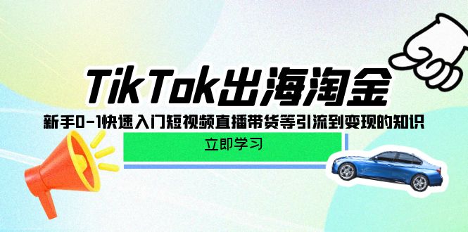 (10035期)TikTok-出海淘金,新手0-1快速入门短视频直播带货等引流到的知识_免费分享网络创业,副业,信息差项目的老牌资源整合平台!金铲子项目