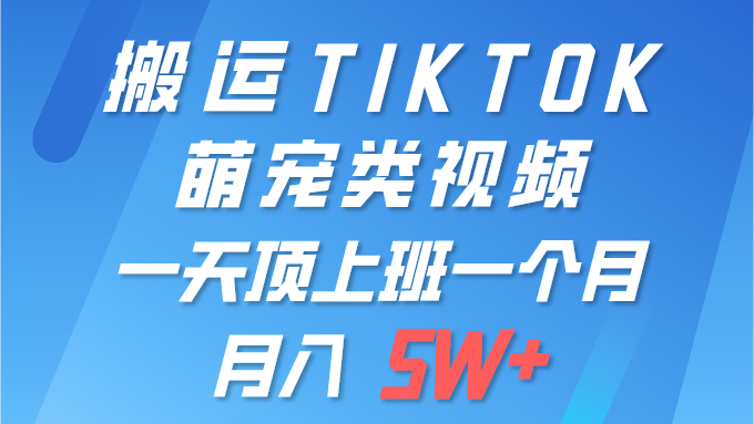 (9931期)一键搬运TIKTOK萌宠类视频一部手机即可操作所有平台均可发布_免费分享网络创业,副业,信息差项目的老牌资源整合平台!金铲子项目
