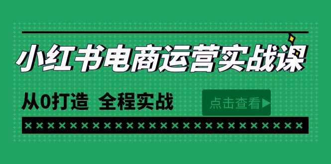 (9946期)最新小红书·电商运营实战课,从0打造全程实战(65节视频课)_免费分享网络创业,副业,信息差项目的老牌资源整合平台!金铲子项目