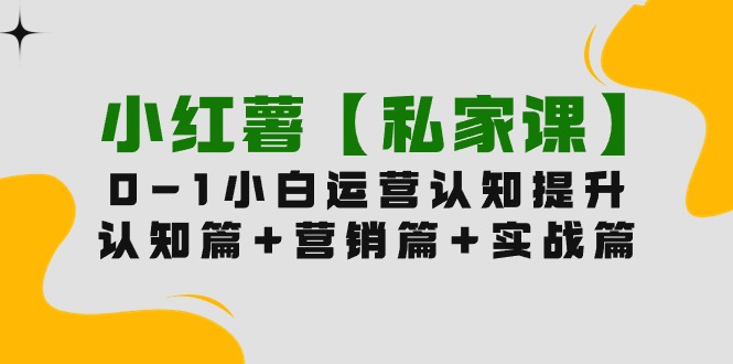 (9910期)小红薯【私家课】0-1玩赚小红书内容营销,认知篇营销篇实战篇(11节课)_免费分享网络创业,副业,信息差项目的老牌资源整合平台!金铲子项目