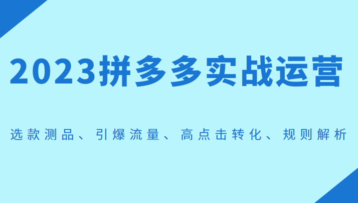 2023拼多多实战运营，选款测品、引爆流量、高点击转化、规则解析_免费分享网络创业,副业,信息差项目的老牌资源整合平台！金铲子项目