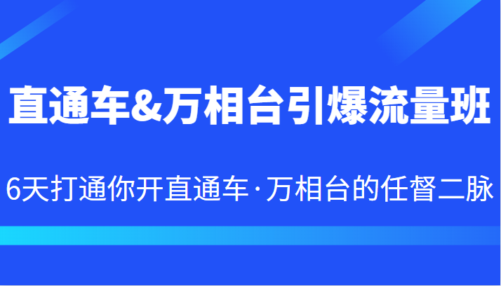 直通车&万相台引爆流量班6天打通你开直通车·万相台的任督二脉_免费分享网络创业,副业,信息差项目的老牌资源整合平台！金铲子项目