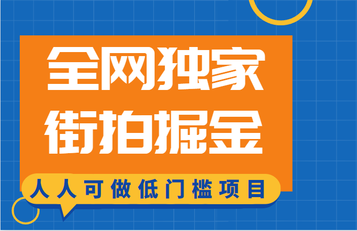 全网独家一街拍掘金，低门槛人人可做的赚钱项目_免费分享网络创业,副业,信息差项目的老牌资源整合平台！金铲子项目