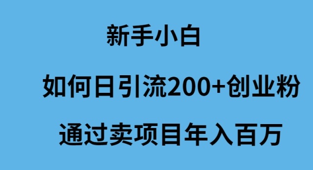（9668期）新手小白如何日引流创业粉通过卖项目百万_免费分享网络创业,副业,信息差项目的老牌资源整合平台！金铲子项目