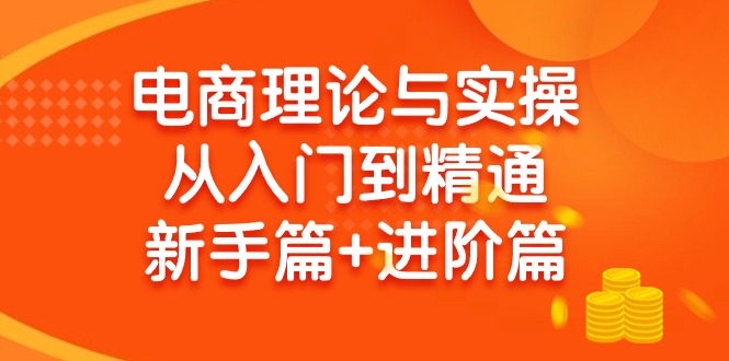 (9576期)电商理论与实操从入门到精通新手篇进阶篇_免费分享网络创业,副业,信息差项目的老牌资源整合平台!金铲子项目