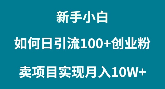 （9556期）新手小白如何通过卖项目实现_免费分享网络创业,副业,信息差项目的老牌资源整合平台！金铲子项目