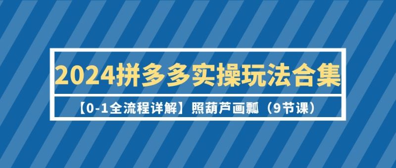 （9559期）2024拼多多实操玩法合集【0-1全流程详解】照葫芦画瓢（9节课）_免费分享网络创业,副业,信息差项目的老牌资源整合平台！金铲子项目