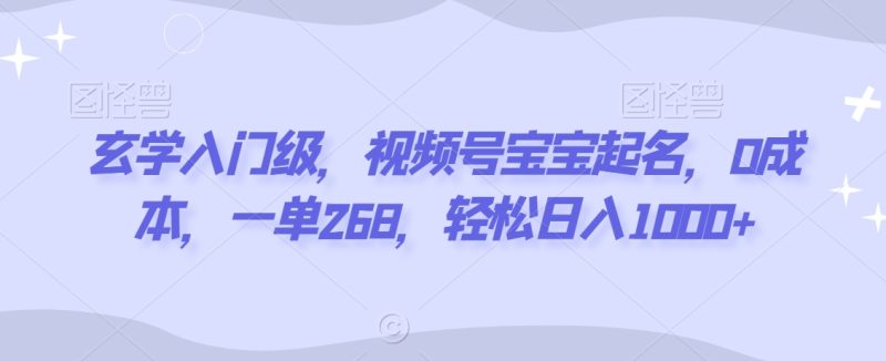 玄学入门级,视频号宝宝起名一单268,_免费分享网络创业,副业,信息差项目的老牌资源整合平台!金铲子项目