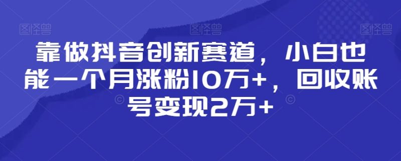 靠做抖音创新赛道，小白也能一个月涨粉10万，回收账号2万_免费分享网络创业,副业,信息差项目的老牌资源整合平台！金铲子项目