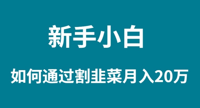 （9308期）新手小白如何通过割韭菜_免费分享网络创业,副业,信息差项目的老牌资源整合平台！金铲子项目