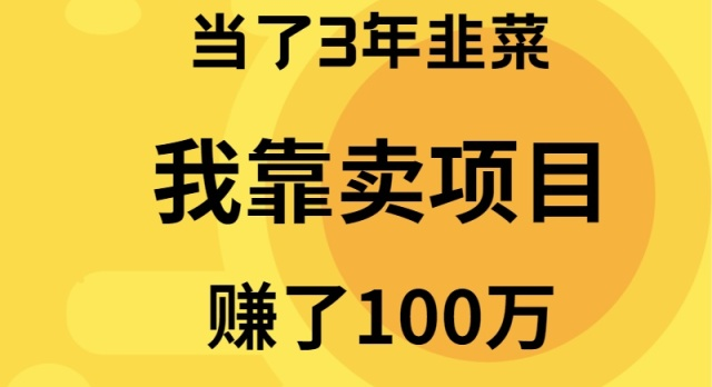 (9100期)当了3年韭菜,我靠卖项目赚了100万_免费分享网络创业,副业,信息差项目的老牌资源整合平台!金铲子项目