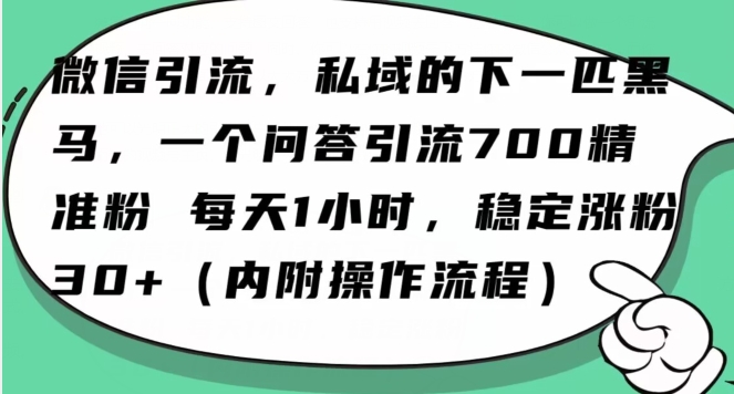怎么搞精准创业粉？微信新赛道，每天一小时，利用Ai一个问答日引100精准粉_免费分享网络创业,副业,信息差项目的老牌资源整合平台！金铲子项目