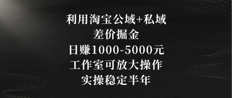 (8952期)利用淘宝公域私域差价掘金,-5000元,工作室可放大操作,实操…_免费分享网络创业,副业,信息差项目的老牌资源整合平台!金铲子项目