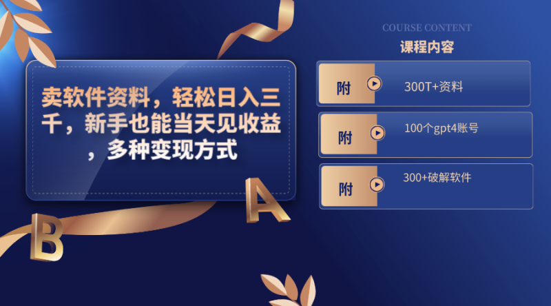 （8582期）卖软件资料，三千，新手也能见，多种方式，（附300…_免费分享网络创业,副业,信息差项目的老牌资源整合平台！金铲子项目