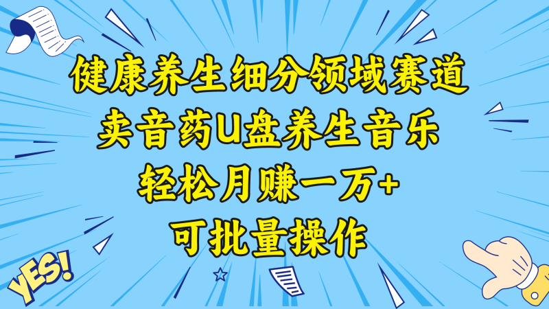 （8503期）健康养生细分领域赛道，卖音药U盘养生音乐，一万，可批量操作_免费分享网络创业,副业,信息差项目的老牌资源整合平台！金铲子项目