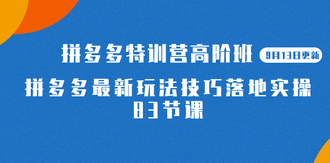 (7295期)2023拼多多·特训营高阶班【9月13日更新】拼多多最新玩法技巧落地实操-83节_免费分享网络创业,副业,信息差项目的老牌资源整合平台!金铲子项目