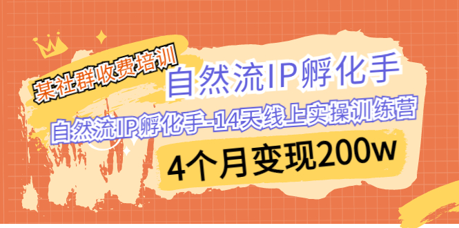 （6924期）某社群收费培训：自然流IP孵化手-14天线上实操训练营4个月200w_免费分享网络创业,副业,信息差项目的老牌资源整合平台！金铲子项目