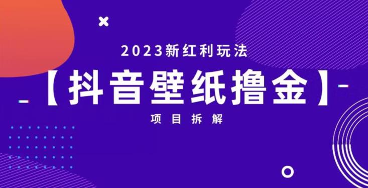 抖音壁纸小程序创作者撸金项目,2023新红利玩法【项目拆解】_免费分享网络创业,副业,信息差项目的老牌资源整合平台!金铲子项目