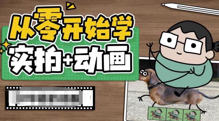 从零开始学实拍加动画，实拍加动画创意教程_免费分享网络创业,副业,信息差项目的老牌资源整合平台！金铲子项目