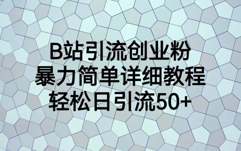 (6639期)B站引流创业粉,暴力简单详细教程,日引流_免费分享网络创业,副业,信息差项目的老牌资源整合平台!金铲子项目