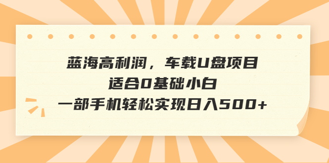 (6600期)蓝海高利润,车载U盘项目,适合0基础小白,一部手机实现_免费分享网络创业,副业,信息差项目的老牌资源整合平台!金铲子项目