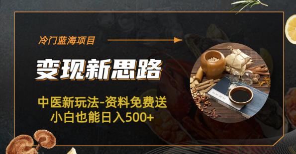 冷门蓝海项目-中医新玩法-资料免费送小白也能【揭秘】_免费分享网络创业,副业,信息差项目的老牌资源整合平台!金铲子项目