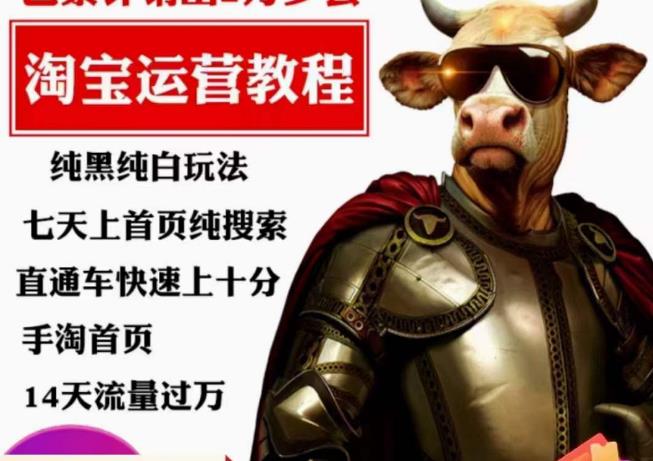 猫老师·淘系算法逆向解密,纯黑纯白玩法,七天上首页纯搜索,手淘首页14天流量_免费分享网络创业,副业,信息差项目的老牌资源整合平台!金铲子项目