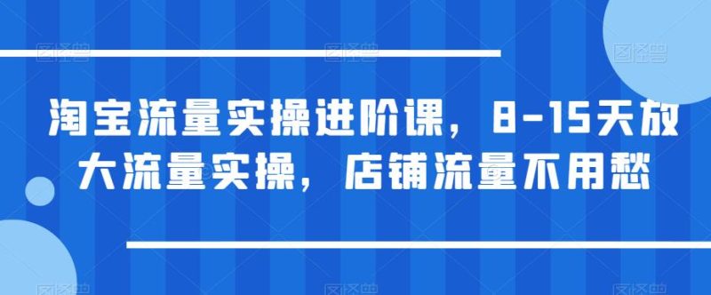 淘宝流量实操进阶课,8-15天放大流量实操,店铺流量不用愁_免费分享网络创业,副业,信息差项目的老牌资源整合平台!金铲子项目