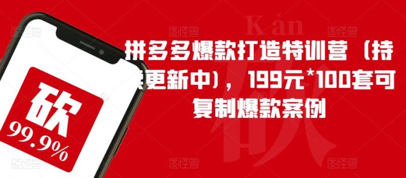 拼多多爆款打造特训营（持续更新中)，199元*100套可复制爆款案例_免费分享网络创业,副业,信息差项目的老牌资源整合平台！金铲子项目